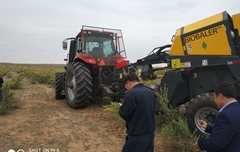 2019年，內(nèi)蒙奈吉牧草有限公司，采購一臺Anderson檸條平茬機